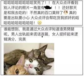 路人吃瓜评论,揭秘娱乐圈最新热点事件
