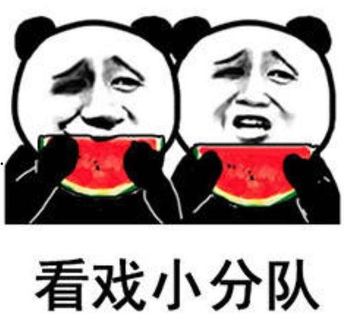 大型的吃瓜表情包,笑料横生的网络狂欢盛宴