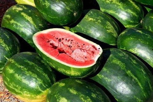 全网吃瓜渠道,揭秘娱乐圈最新瓜料大揭秘！