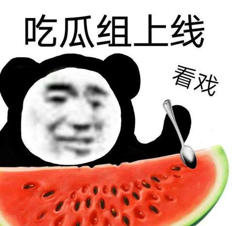 吃瓜疫情,吃瓜群众视角下的疫情众生相