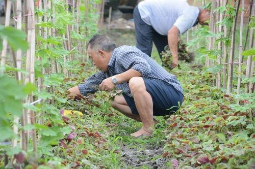 北湖新区吃瓜,吃瓜群众的热闹日常