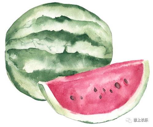 st吃瓜尊者,网络红人的崛起与影响力