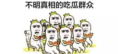 带你吃瓜解说奇葩答案,奇葩答案背后的趣味与智慧