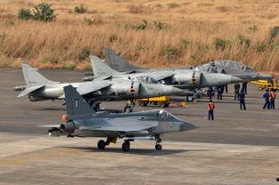 吃瓜战斗机,网络红人的崛起与影响力