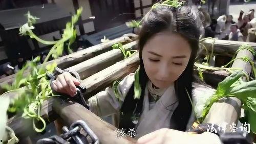 赵敏吃瓜群众,吃瓜群众眼中的娱乐圈风云人物