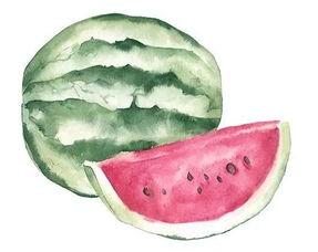 看吃瓜涨知识,看吃瓜涨知识，带你领略明星幕后故事