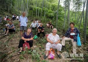 富阳环山吃瓜,一场别开生面的吃瓜之旅